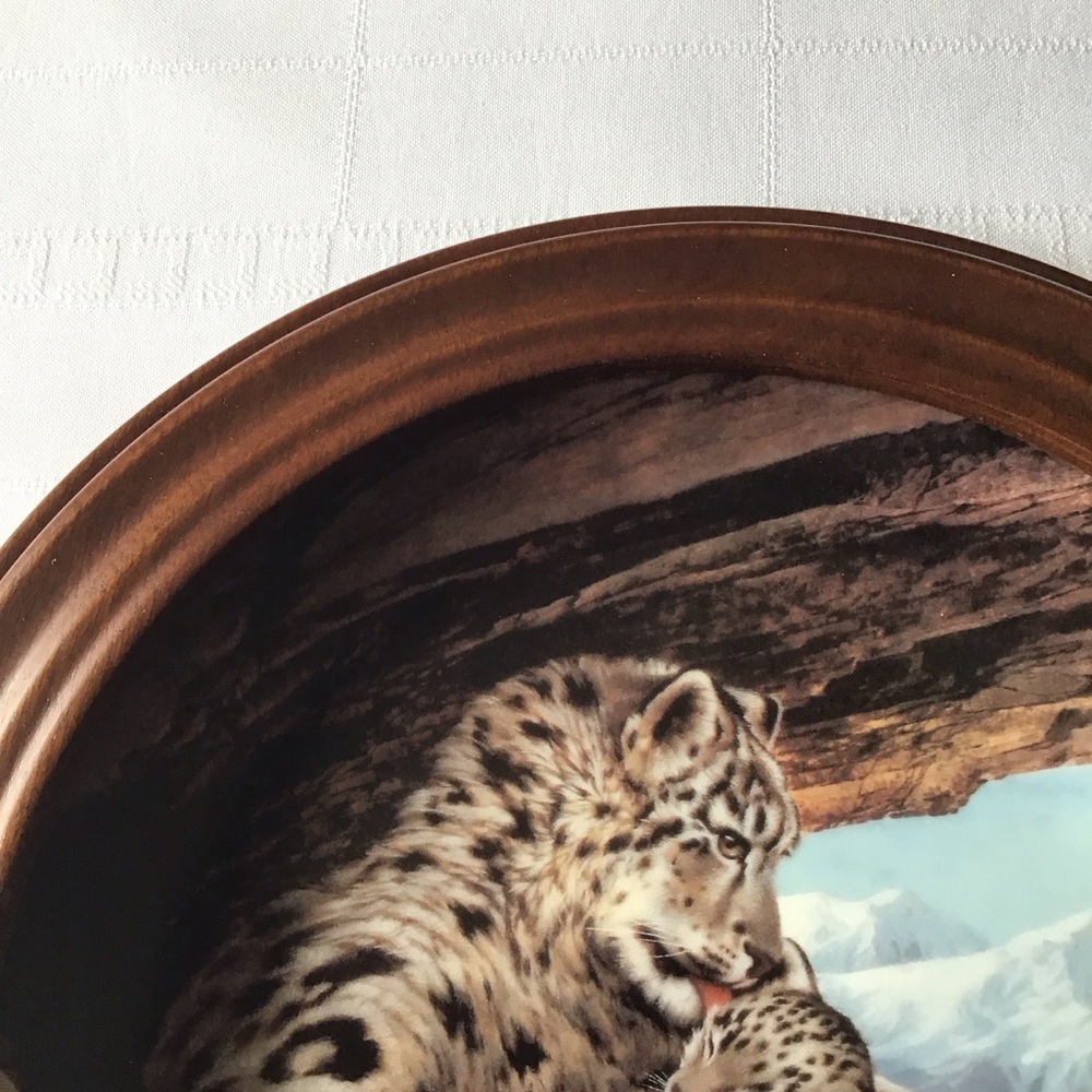 W S George - The Snow Leopard Plate with Van Hygan & Smythe Display Frame - Picture 7 of 12